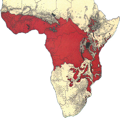 występowanie śpiączki afrykańskiej 